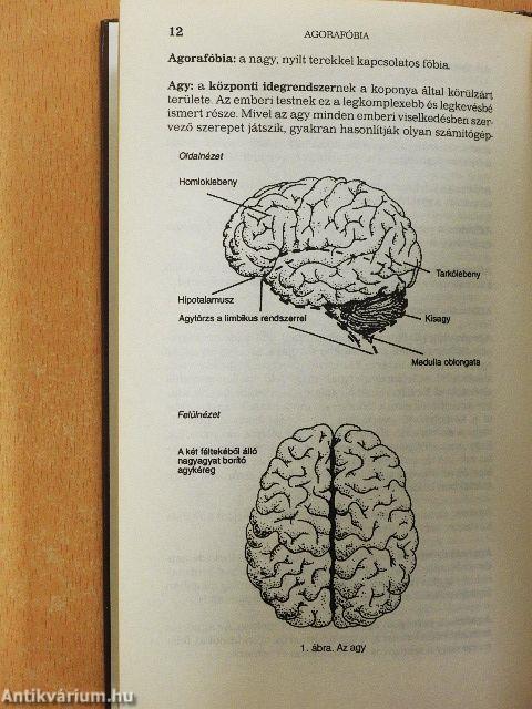 Pszichológiai kisenciklopédia