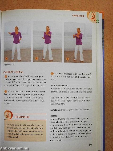 Kínai orvoslás a nyugatnak