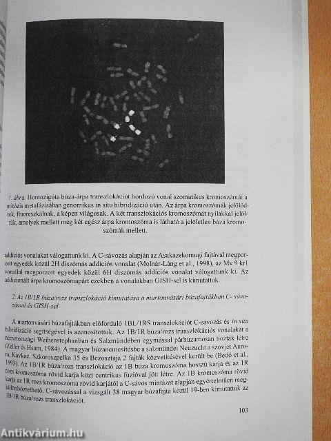 Ötven éves a Magyar Tudományos Akadémia Mezőgazdasági Kutatóintézete