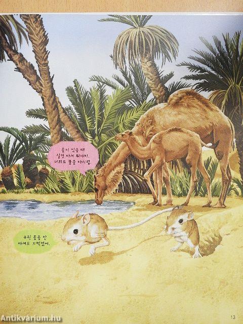 Vannak ilyen állatok és növények a világon? (koreai nyelvű)