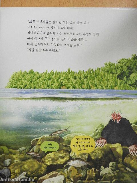 Vannak ilyen állatok és növények a világon? (koreai nyelvű)