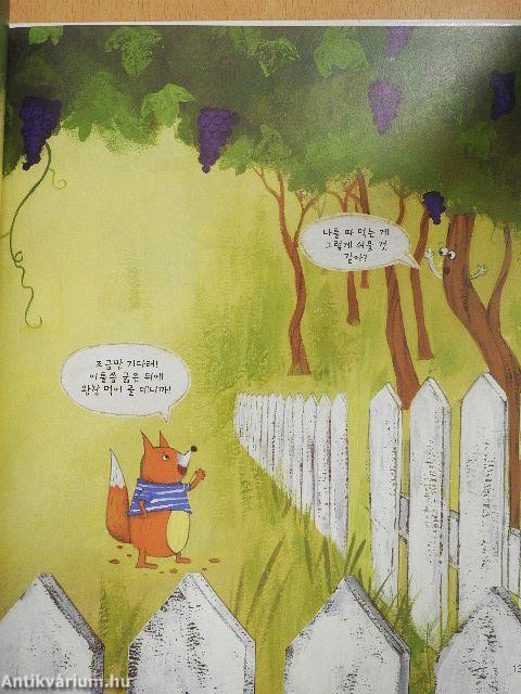 Rabbi, adj bölcsességet (koreai nyelvű)