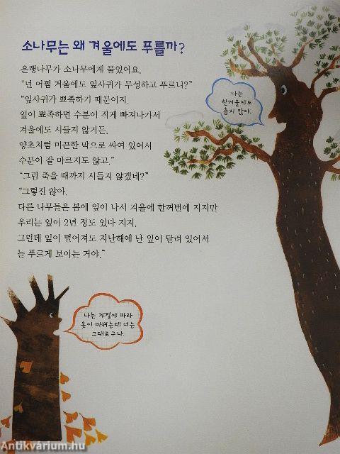 Miért forog jobbra az óra? (koreai nyelvű)