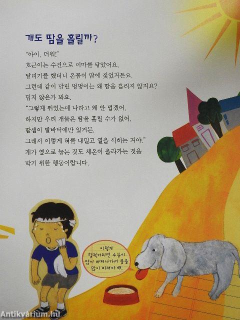 Miért forog jobbra az óra? (koreai nyelvű)