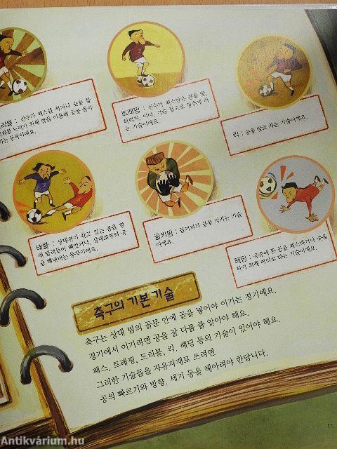 Korea is bejutott az elődöntőbe (koreai nyelvű)