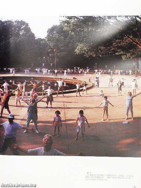 Tokyo (kínai nyelvű)