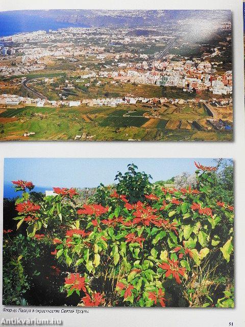 Tenerife (orosz nyelvű)