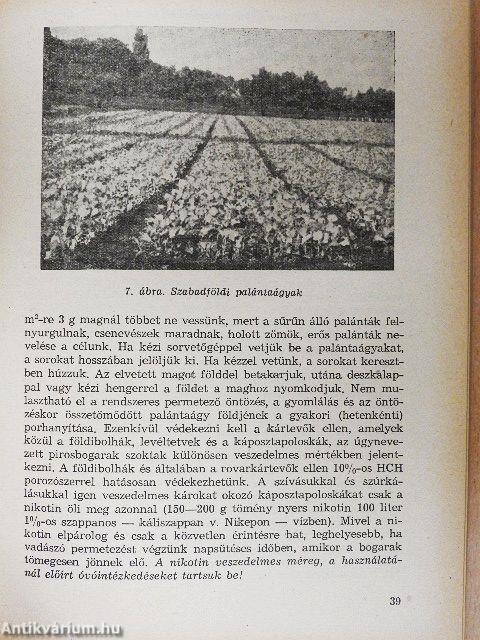 A káposztafélék termesztése