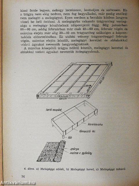 A káposztafélék termesztése