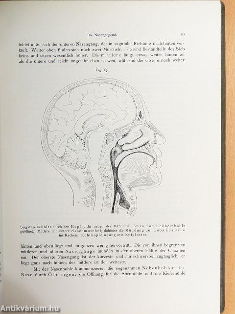 Grundriss der Chirurgisch-Topographischen Anatomie