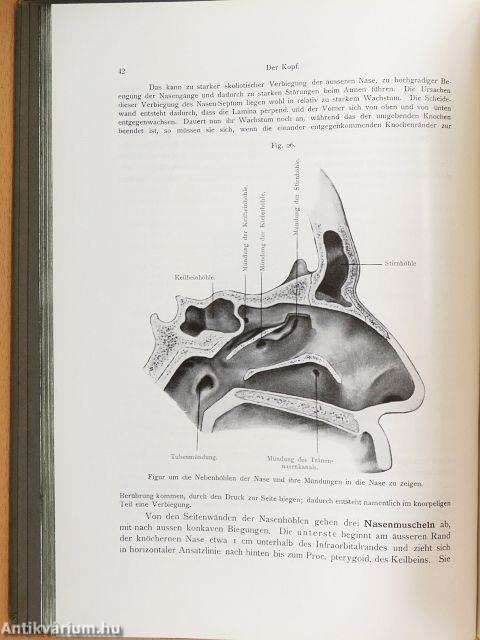 Grundriss der Chirurgisch-Topographischen Anatomie