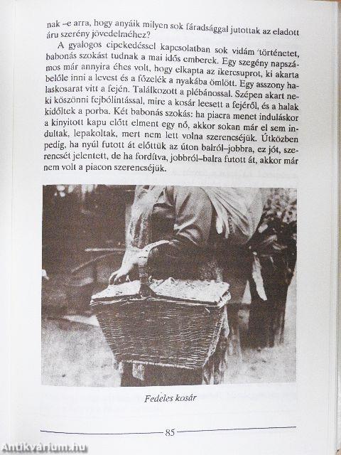 Rábaköz és a Hanság