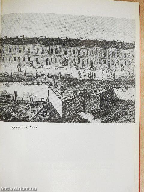 Garibaldival a szabadságért