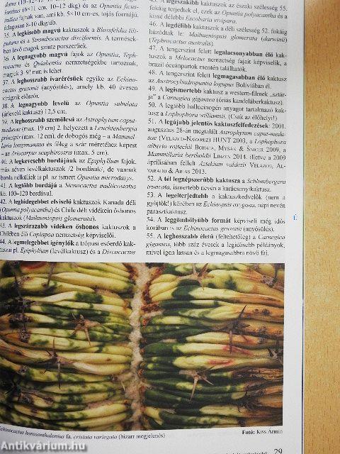 Kaktuszkör-kép 2016