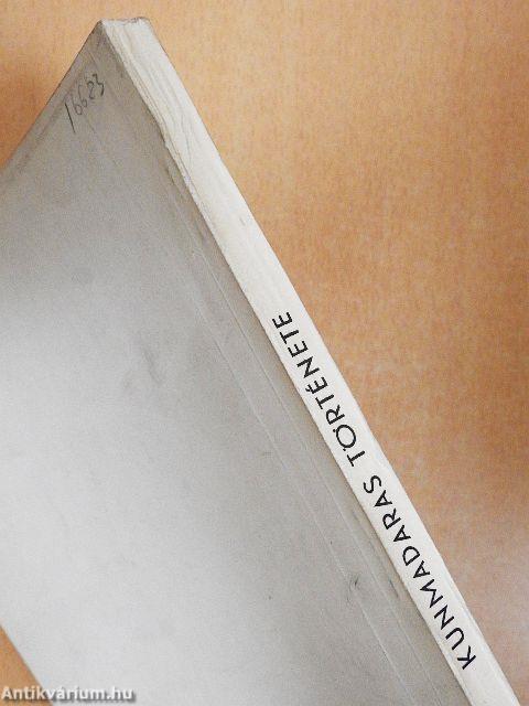 Kunmadaras fejlődéstörténete termelőszövetkezeti községgé alakulásáig