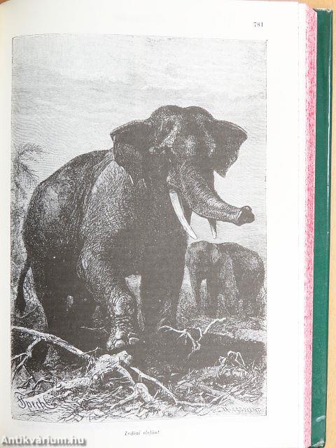 Brehm - Az állatok világa