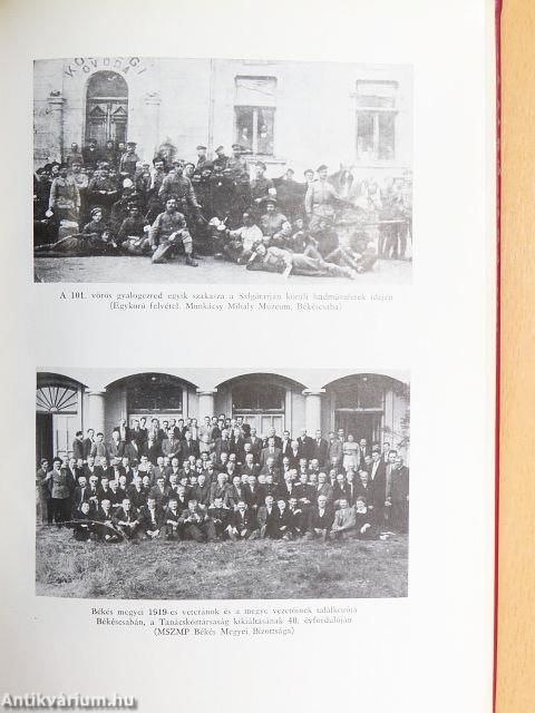 A Tanácsköztársaság Békés megyében 1919