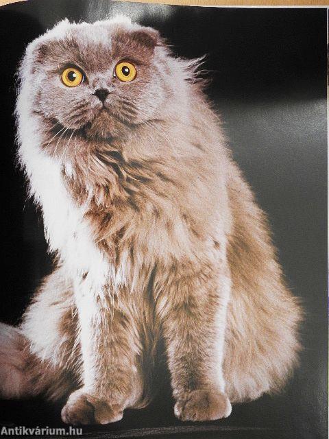 Royal Canin Macskaenciklopédia 2.