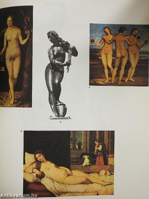 Művészet dióhéjban ötven remekmű alapján