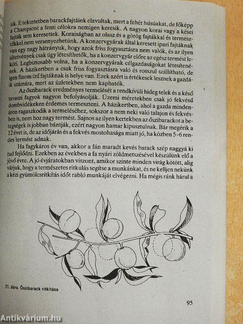 Ősztől őszig a kertbarátoknál