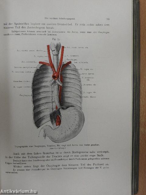 Grundriss der Chirurgisch-Topographischen Anatomie