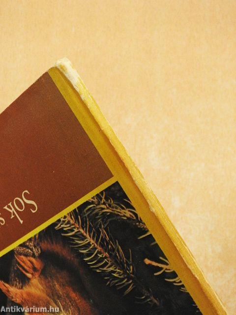 Sok szerencsét, Hengergőc!