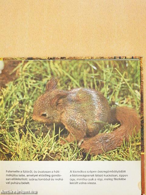 Sok szerencsét, Hengergőc!