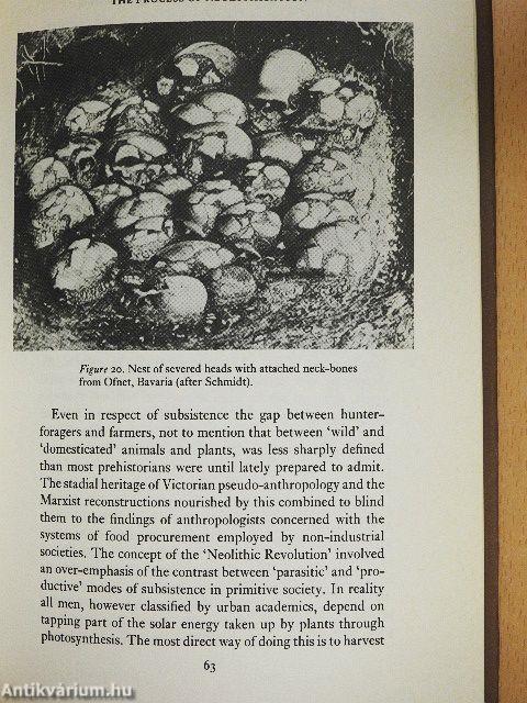 Mesolithic Prelude