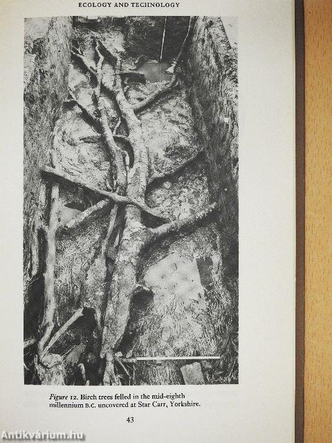 Mesolithic Prelude
