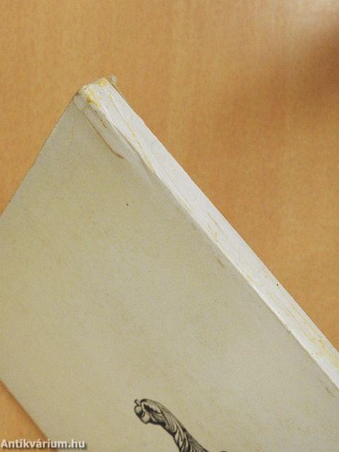 Der Römische Limes in Ungarn