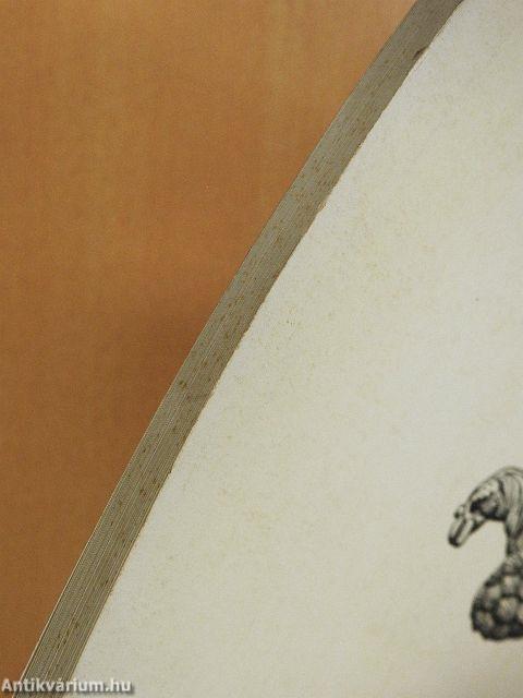 Der Römische Limes in Ungarn