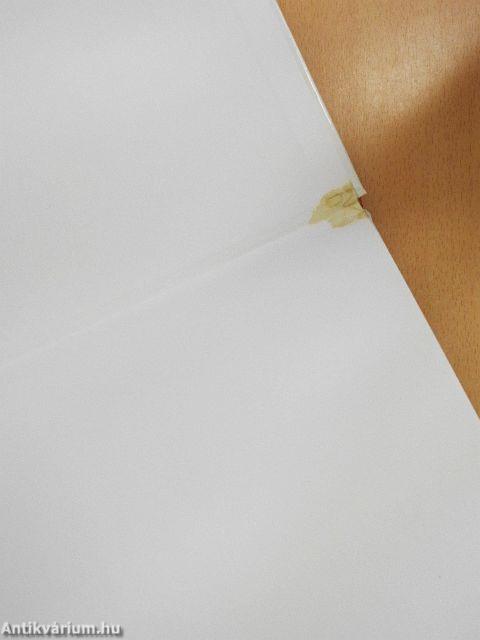 Az abszolutizmus kora és a barokk