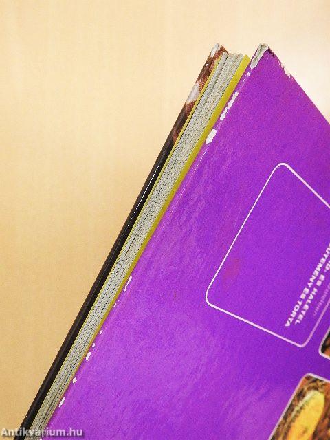 99 szárnyasétel 33 színes ételfotóval