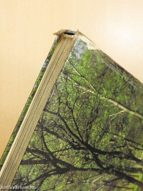 Ezer ágán ezer fészek