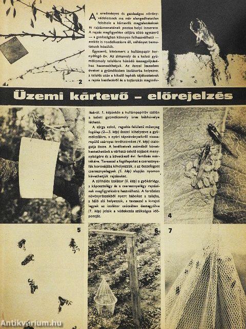 Kertészet és Szőlészet 1973. január-december