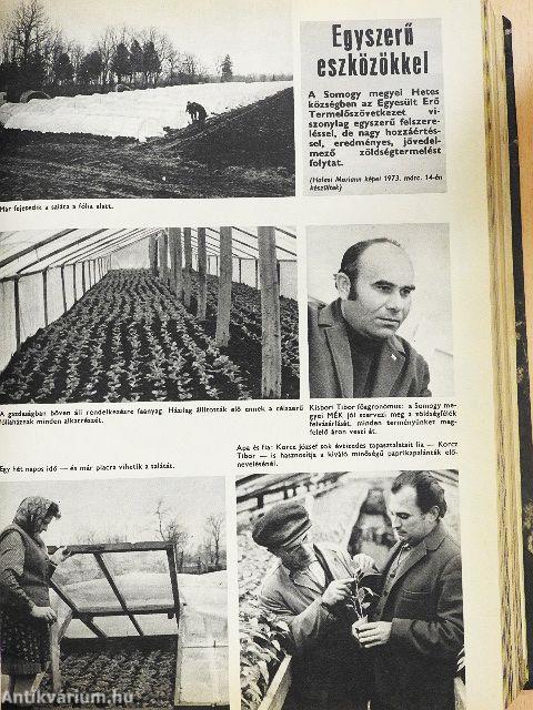 Kertészet és Szőlészet 1973. január-december