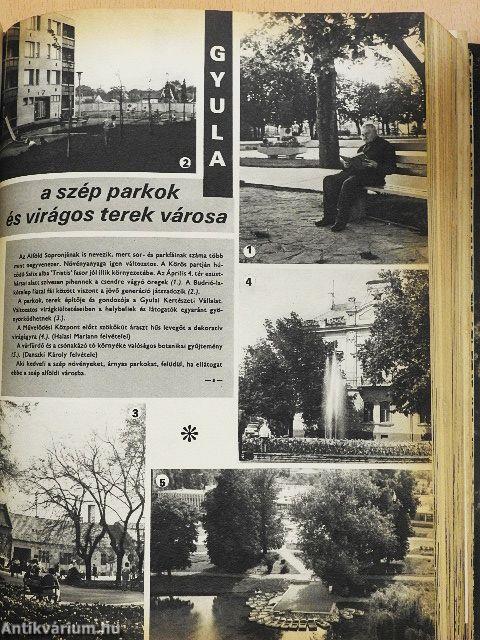 Kertészet és Szőlészet 1973. január-december