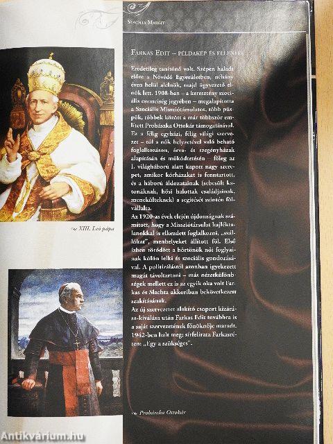 A politika forgatagában