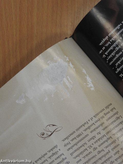 A politika forgatagában