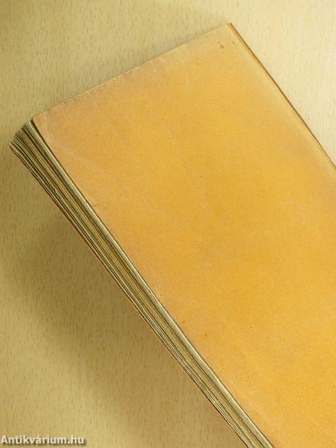 A százéves Lánchid