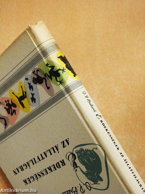 Érdekességek az állatvilágban