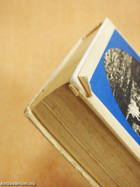 Grant kapitány gyermekei