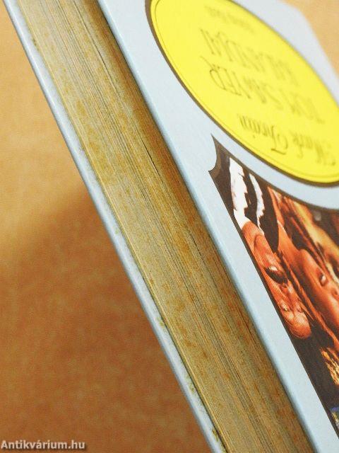 Tom Sawyer kalandjai