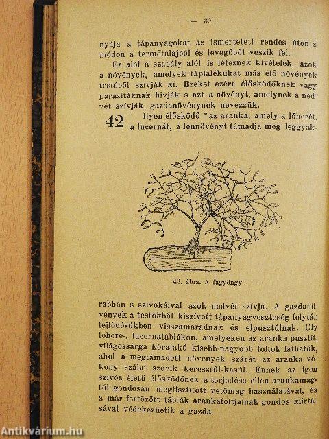 Az ókori keleti népek művészete/A görög építészet története/Kolozsvár/Konstantinápoly/Nagy Napoleon/Kivándorlás Amerikába/Kivándorlóink az Egyesült-Államokban/Mozgás és nyugalom/Nagybritannia és Írország története