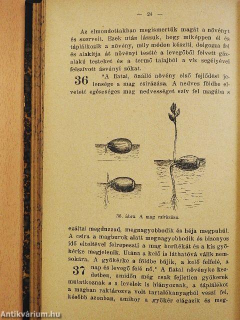 Az ókori keleti népek művészete/A görög építészet története/Kolozsvár/Konstantinápoly/Nagy Napoleon/Kivándorlás Amerikába/Kivándorlóink az Egyesült-Államokban/Mozgás és nyugalom/Nagybritannia és Írország története