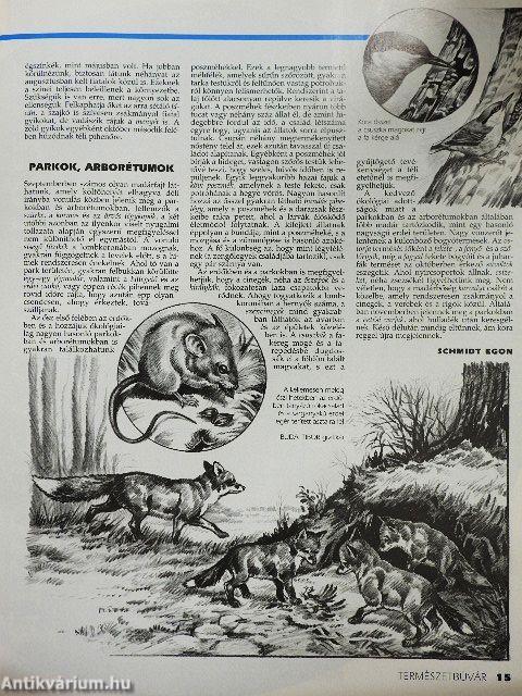 Természetbúvár 1996/5.