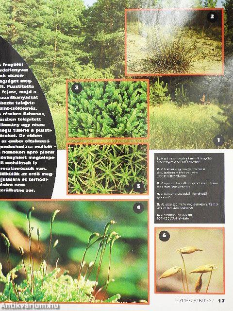 Természetbúvár 1996/5.