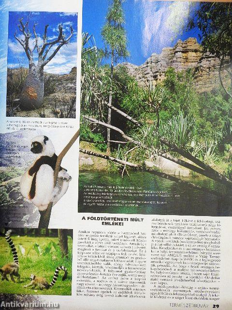 Természetbúvár 1996/5.