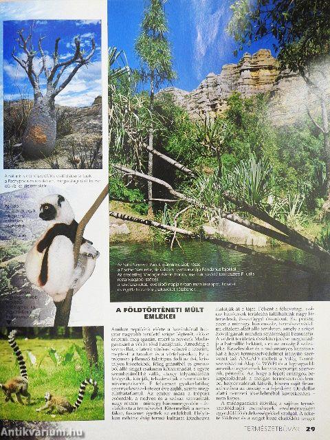 Természetbúvár 1996/5.