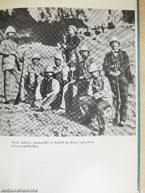 A wollsteini "fizikus"